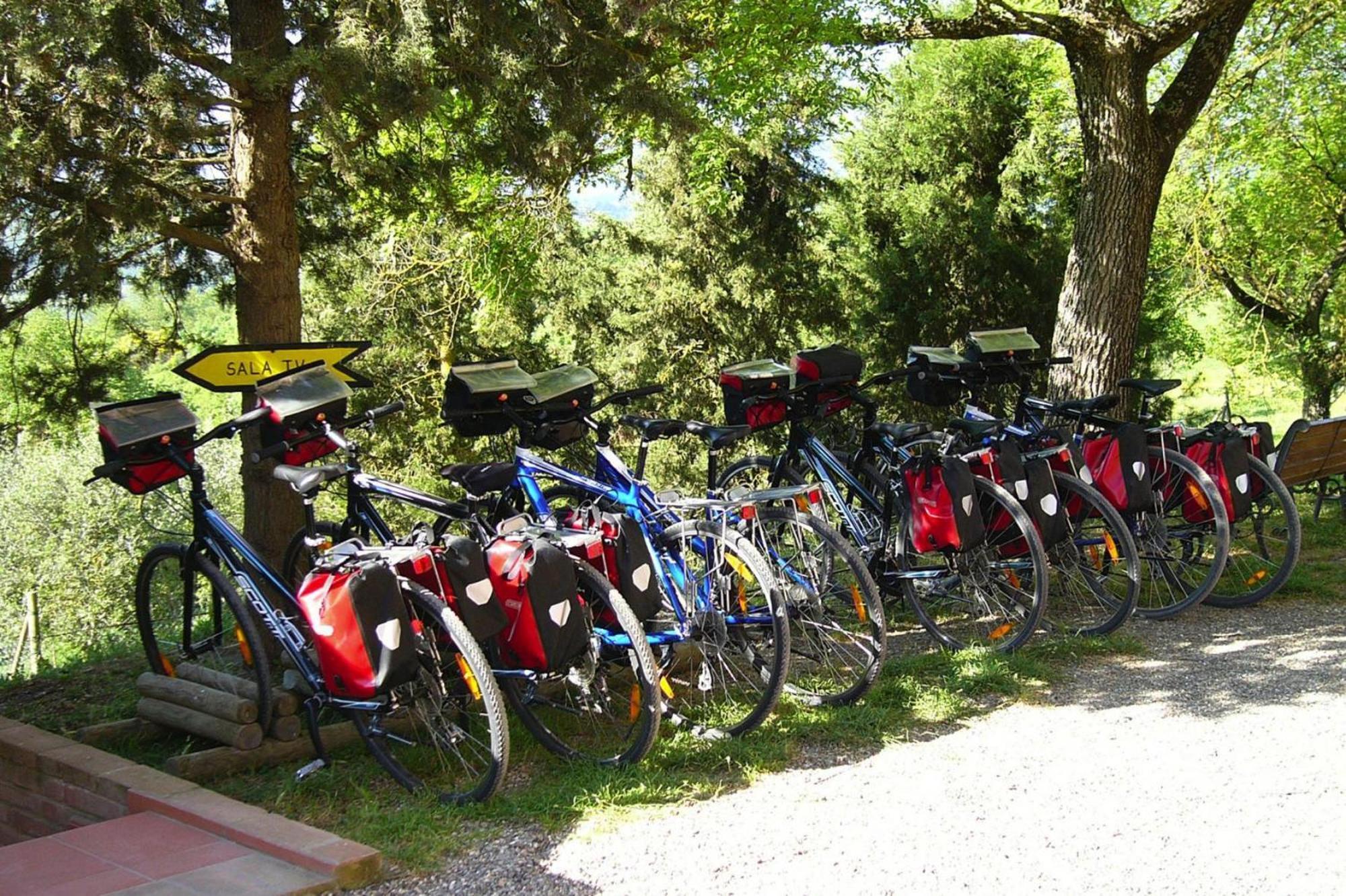 Fattoria Bio Pieve A Salti Montalcino公寓 外观 照片